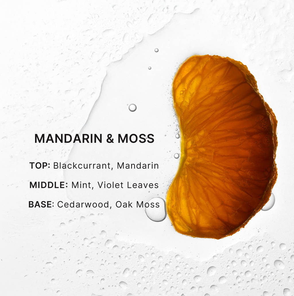 Mandarin fruit slice with fragrance notes on a textured white background