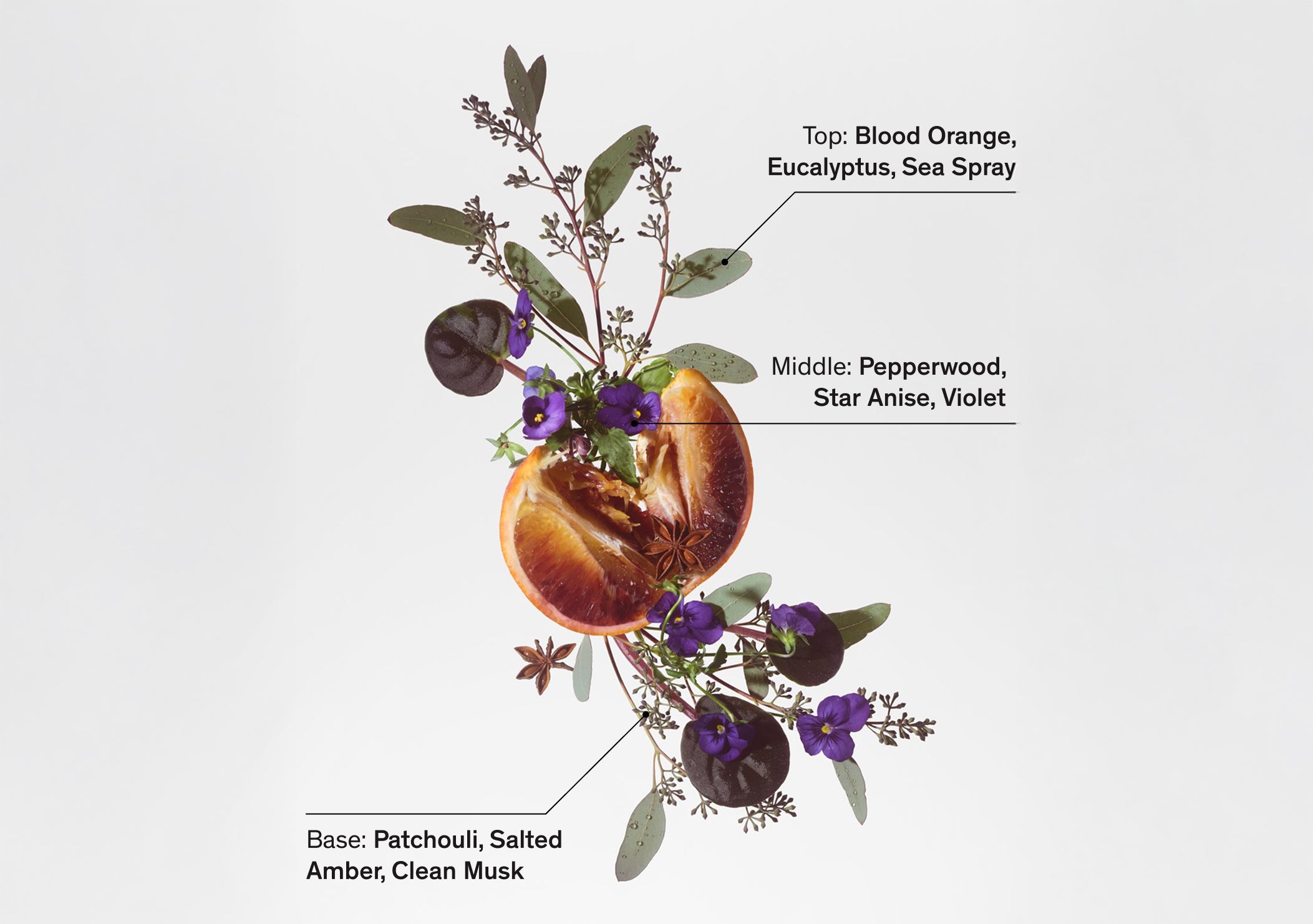 The Marine Holiday Edit