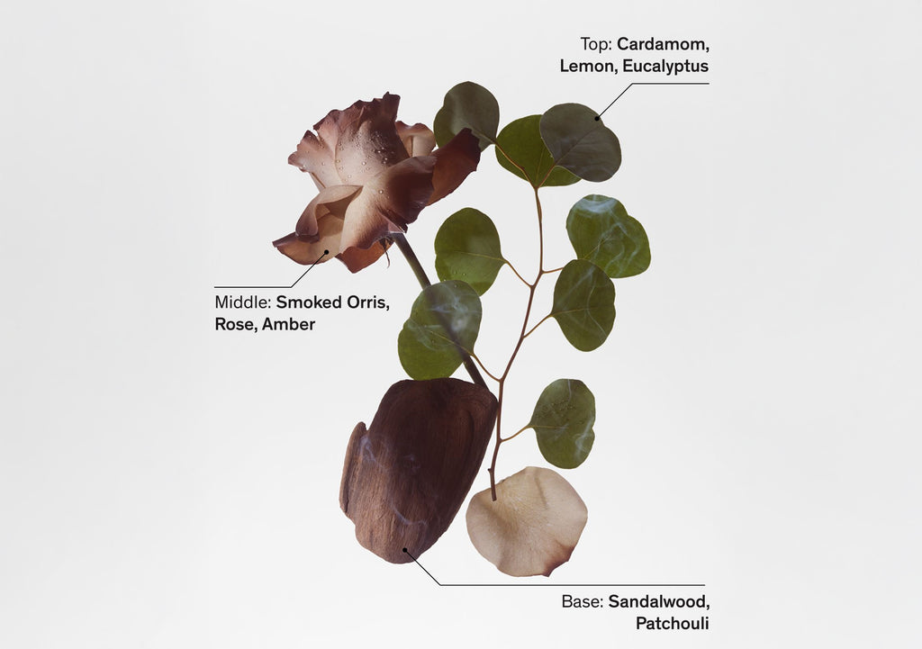 Floral arrangement with rose, eucalyptus, and wood notes; features cardamom, lemon, amber, and patchouli.